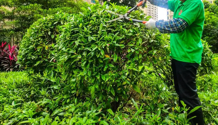 绿化工程建安税率是多少