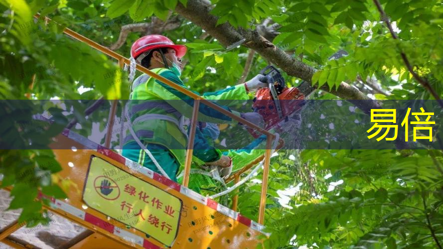 绿化工程营养土施工流程 绿化工程营养土施工流程