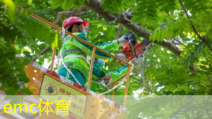林州二院绿化工程项目
