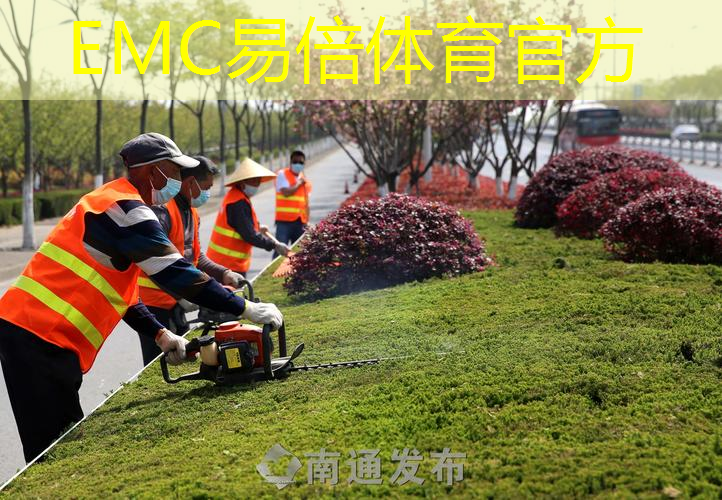 常熟绿化树品种排名