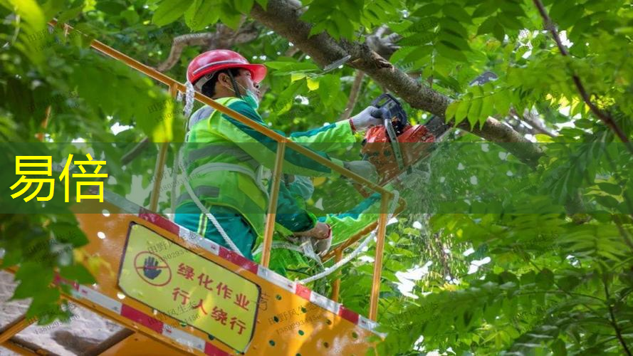 新乡绿化和市容管理局局长