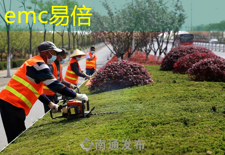西宁绿化亮化工程项目