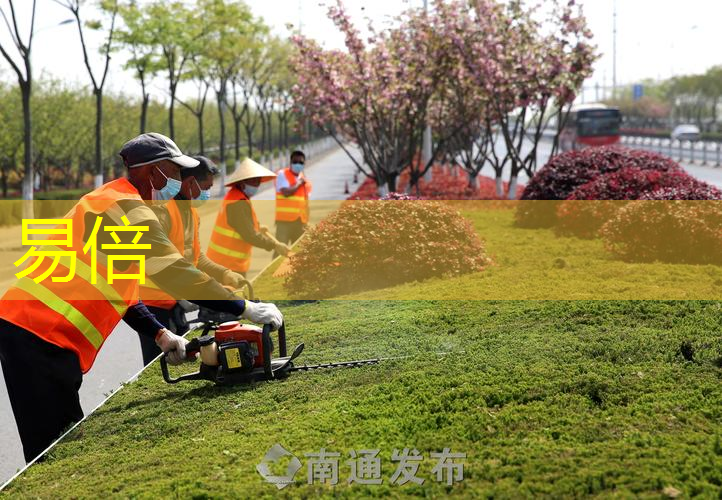 郯城水润园林绿化工程项目