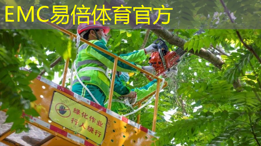 安顺草籽植生袋绿化工程