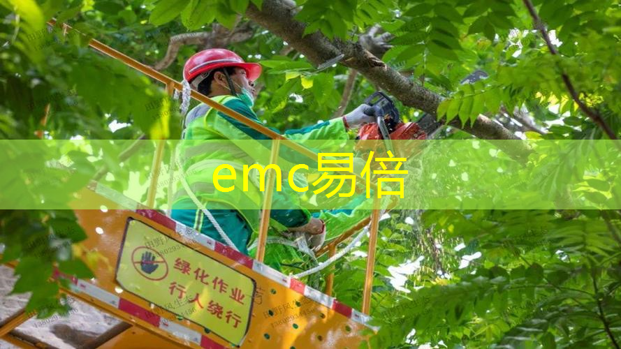 平湖景观绿化工程项目有哪些