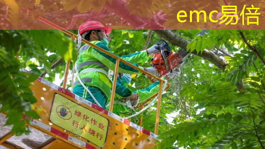 50亩地园林景观设计