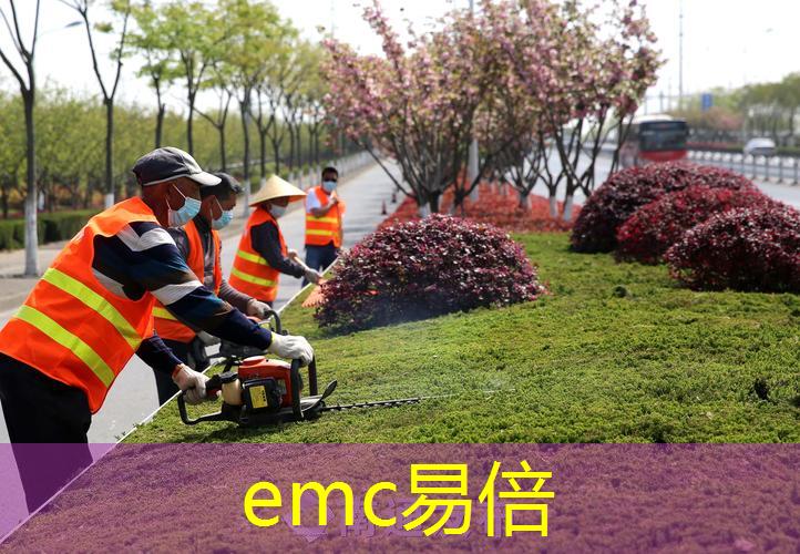 别墅客厅前室园林景观设计