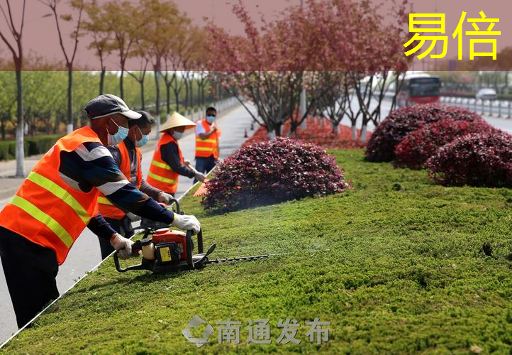 和平区绿化亮化工程安装