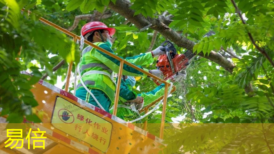 专业假山绿化工程