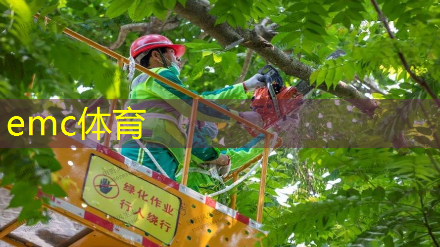 兰州天源9号绿化工程
