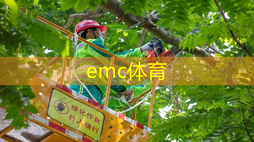 城市公共绿地面临挑战：应对市政园林管理难题需集思广益