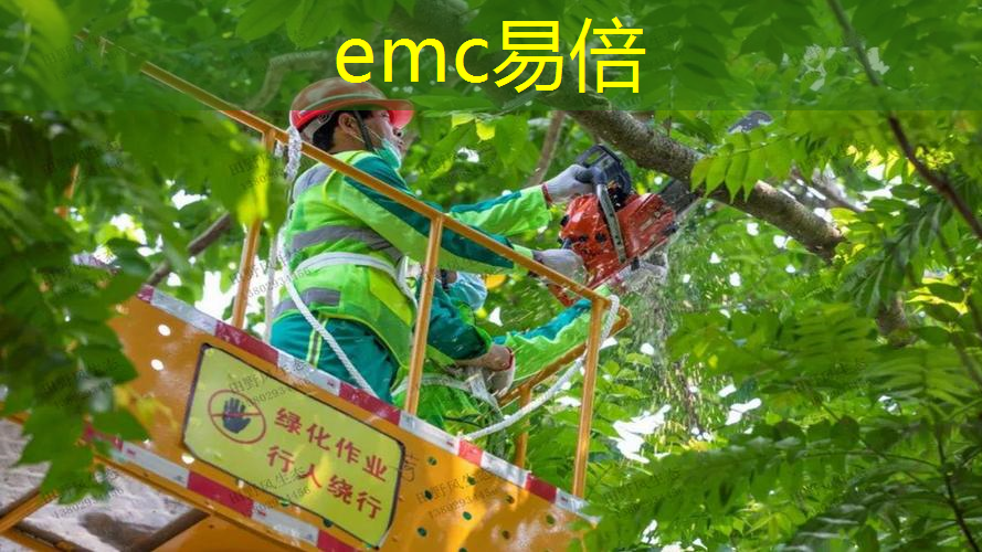大同绿化园林景观设计施工