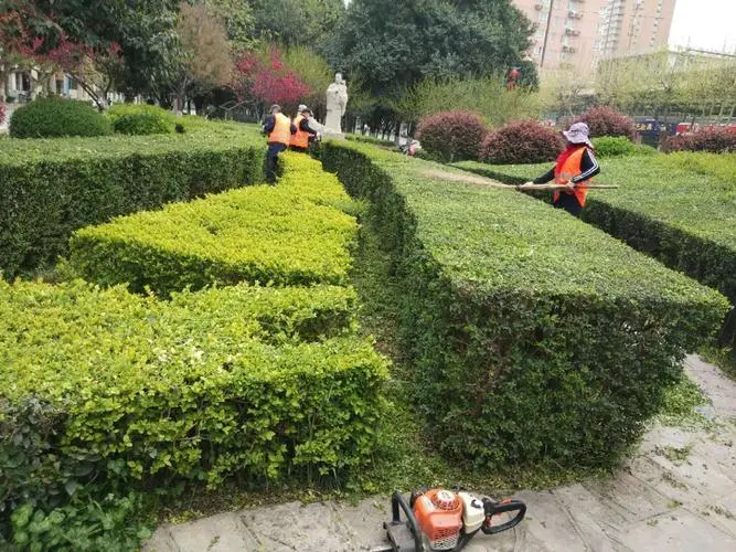 别墅园林景观设计是什么