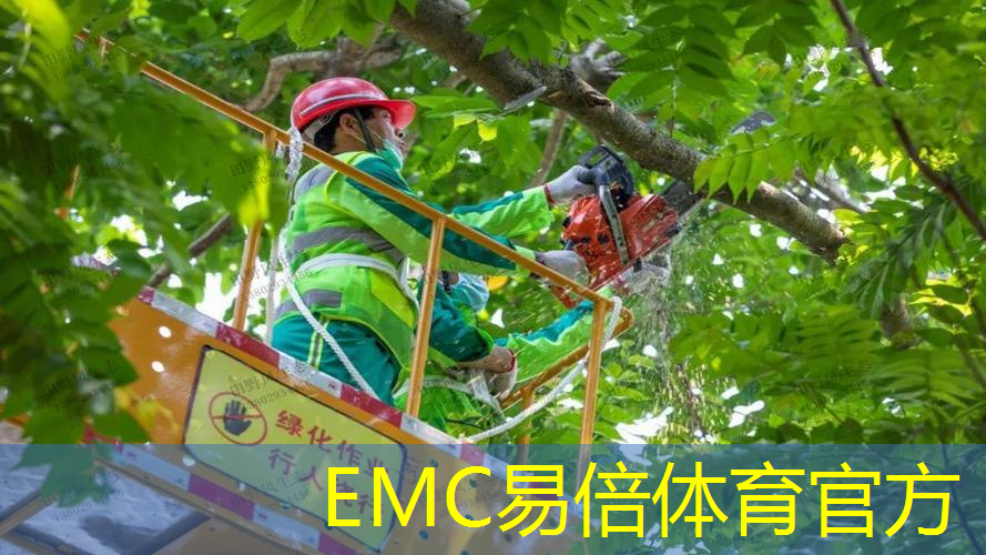 彭州樱花绿化工程项目