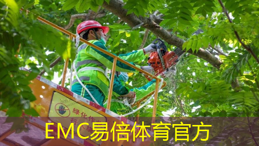 揭阳建贤新邨绿化工程